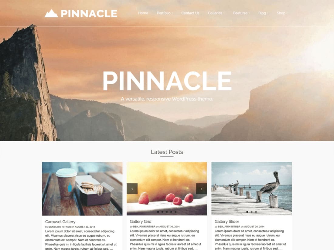 Pinnacle - 10+ Best Free & Responsive WordPress Themes 2016