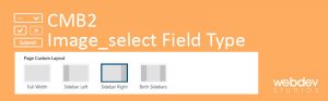 CMB2 Image select Field Type 300x93 - How To Create CMB2 Image_Select Field Type