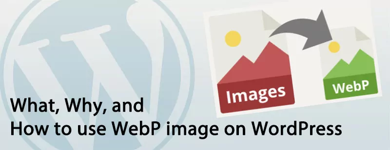 What Why and How to use WebP image on WordPress - What, Why, and How to use WebP image on WordPress